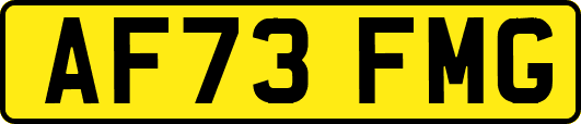 AF73FMG