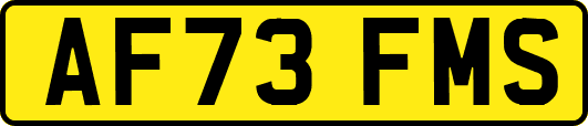 AF73FMS