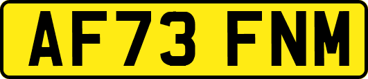 AF73FNM