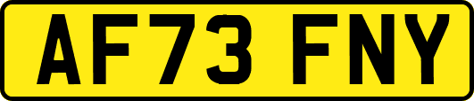 AF73FNY