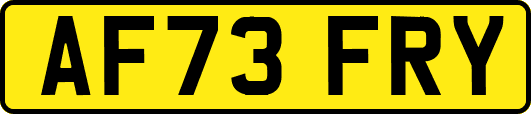 AF73FRY