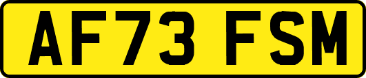 AF73FSM