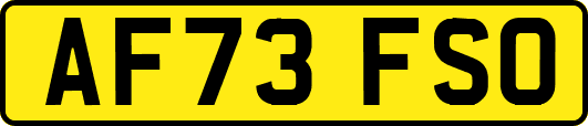 AF73FSO