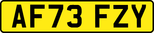 AF73FZY