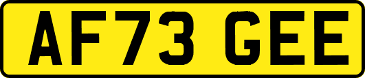 AF73GEE