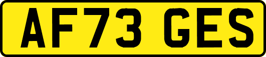 AF73GES