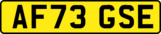 AF73GSE
