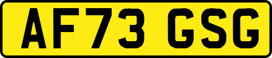 AF73GSG