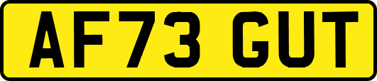 AF73GUT