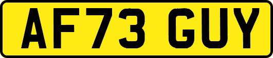 AF73GUY