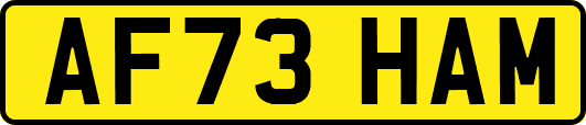 AF73HAM