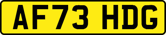 AF73HDG