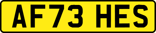 AF73HES