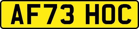 AF73HOC