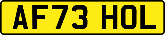 AF73HOL