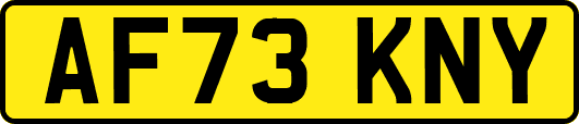 AF73KNY