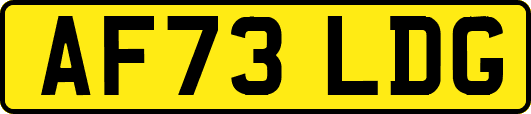 AF73LDG