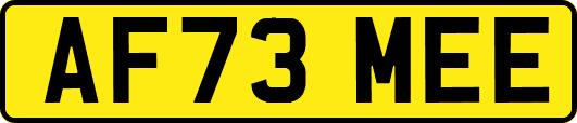 AF73MEE