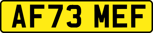 AF73MEF