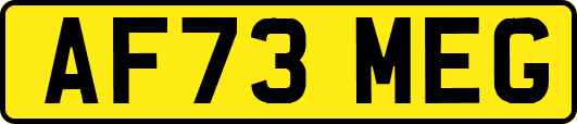 AF73MEG