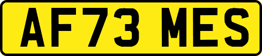 AF73MES