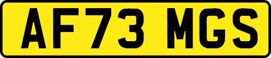 AF73MGS
