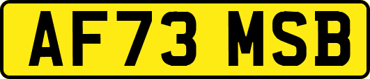 AF73MSB