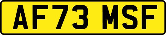AF73MSF