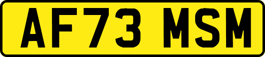 AF73MSM