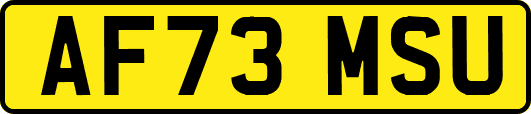 AF73MSU
