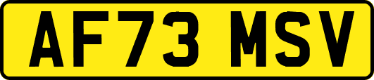 AF73MSV