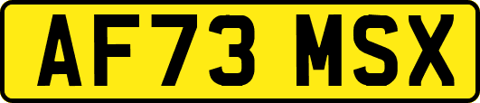 AF73MSX