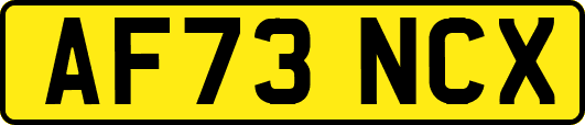 AF73NCX