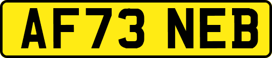 AF73NEB