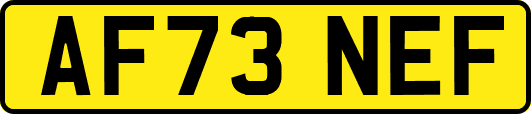 AF73NEF