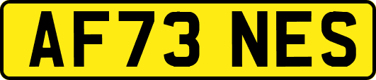 AF73NES