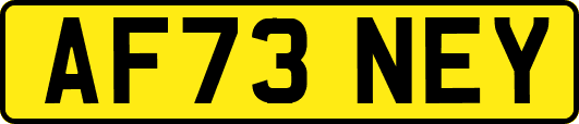 AF73NEY