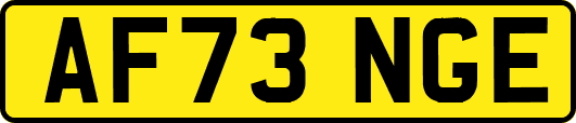 AF73NGE