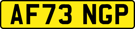 AF73NGP