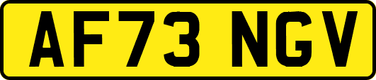 AF73NGV
