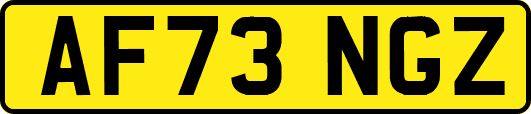 AF73NGZ