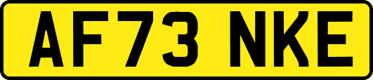 AF73NKE