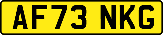 AF73NKG