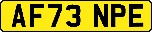 AF73NPE