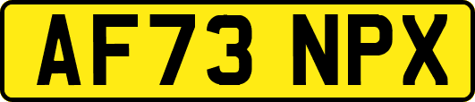 AF73NPX