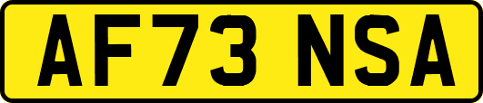 AF73NSA