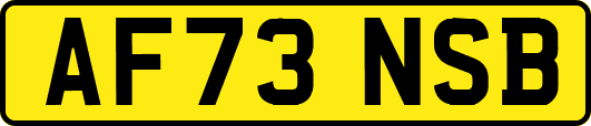 AF73NSB