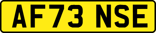 AF73NSE
