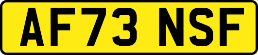 AF73NSF