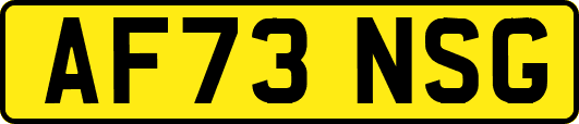 AF73NSG